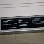 Peterson_070 (July 28, 2019)